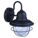 Alaric 1-Light Outdoor Lantern