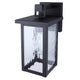 Shana 1-Light Outdoor Lantern