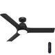 Aeronaut Outdoor Smart Fan with LED Light 52"