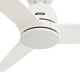 Malden Indoor 52" Fan