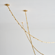 Catena 241 Chandelier