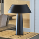 Sesa Accent Rechargeable Table Lamp