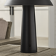 Sesa Accent Rechargeable Table Lamp