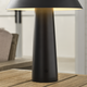 Sesa Accent Rechargeable Table Lamp