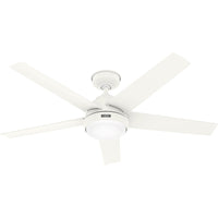 Skyflow Outdoor Fan with LED Light 52"