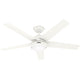 Skyflow Outdoor Fan with LED Light 52"
