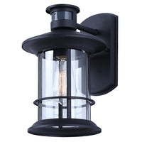 Dakota 1-Light Outdoor Lantern