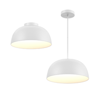 20" 2-in-1 Pendant/Flush Mount