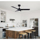 Cale Ceiling Fan