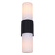 June 2-Light Outdoor Lantern