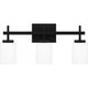 Wilburn 3-Light LED Bath Light