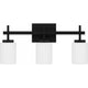 Wilburn 3-Light LED Bath Light