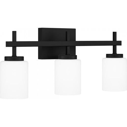 Wilburn 3-Light LED Bath Light