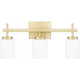Wilburn 3-Light LED Bath Light