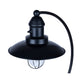 Cavea 1-Light Outdoor Lantern