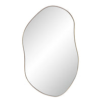 Noria 45" Tall Irregular Rectangular Oval Mirror