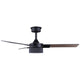 Cale Ceiling Fan