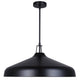 Holland 4-Light Pendant