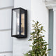Miller 1-Light Outdoor Lantern