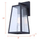 Coralea 1-Light Outdoor Lantern