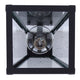 Coralea 1-Light Outdoor Lantern