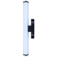 Ozzy 1-Light Sconce