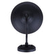 Hattie 1-Light Outdoor Lantern