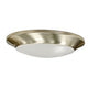 LED Disc Light
