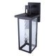 Shana 1-Light Outdoor Lantern