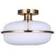 Eve 1-Light Semi Flush