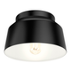 Cranbrook 1-Light Flush Mount