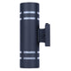 Braxton 2-Light Outdoor Lantern