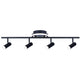 Denver 4-Light Track Lighting
