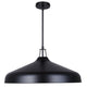 Holland 4-Light Pendant