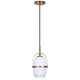 Eve 1-Light Pendant