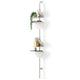 Solis Shelf