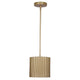 Scarlett 1-Light Pendant