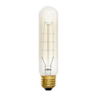 T-Style Tinted 60W T10 Bulb
