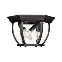 Exterior Collections Outdoor Ceiling Light