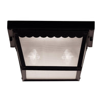 Exterior Collections Outdoor Ceiling Light