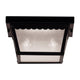 Savoy House - Exterior Collections Outdoor Ceiling Light - Lights Canada