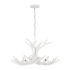 Savoy House - Daniels 6-Light Chandelier - Lights Canada
