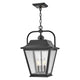 Hinkley - Kingston Medium Hanging Lantern - Lights Canada
