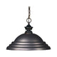 Z-Lite - Pendant Light - Lights Canada