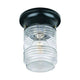 Acclaim - Builder's Choice Outdoor Ceiling Light - Lights Canada