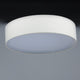 Prime 20" LED Flush Mount