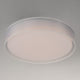 Prime 25" LED Flush Mount