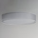 Prime 25" LED Flush Mount 120-277V