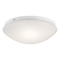 Ceiling Space LED Flush Mount