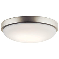 Ceiling Space Flush Mount